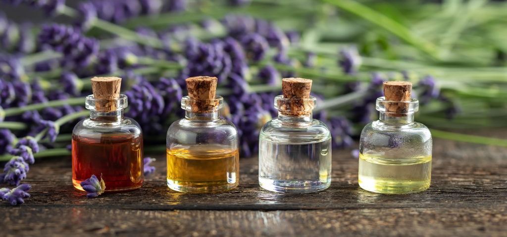 Essential Oils 101: A Whiff of Magic for Your Daily Life